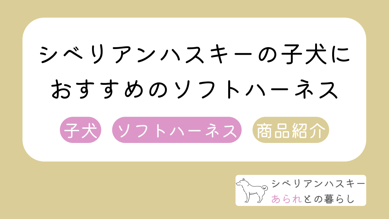 シベリアンハスキーの子犬におすすめのソフトハーネス